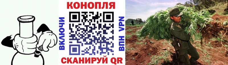 Магазин наркотиков Высоцк Alpha PVP  blacksprut как войти  Каннабис 